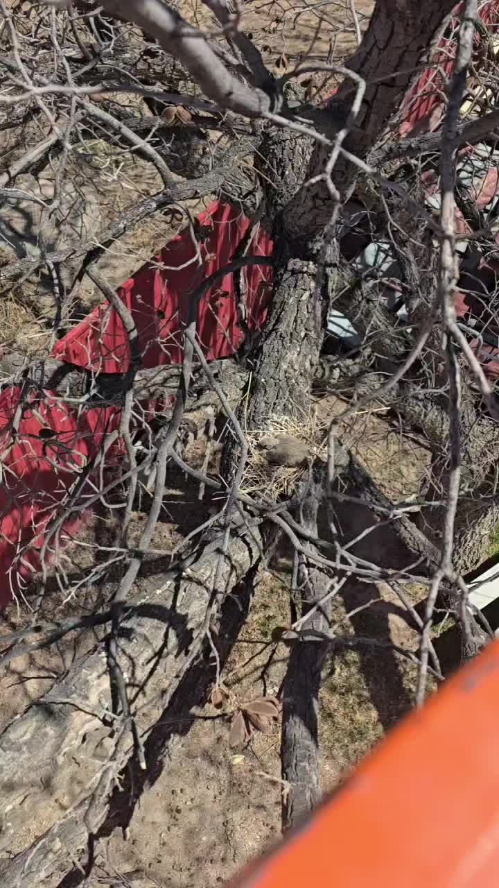 @Wykoffs Adventures