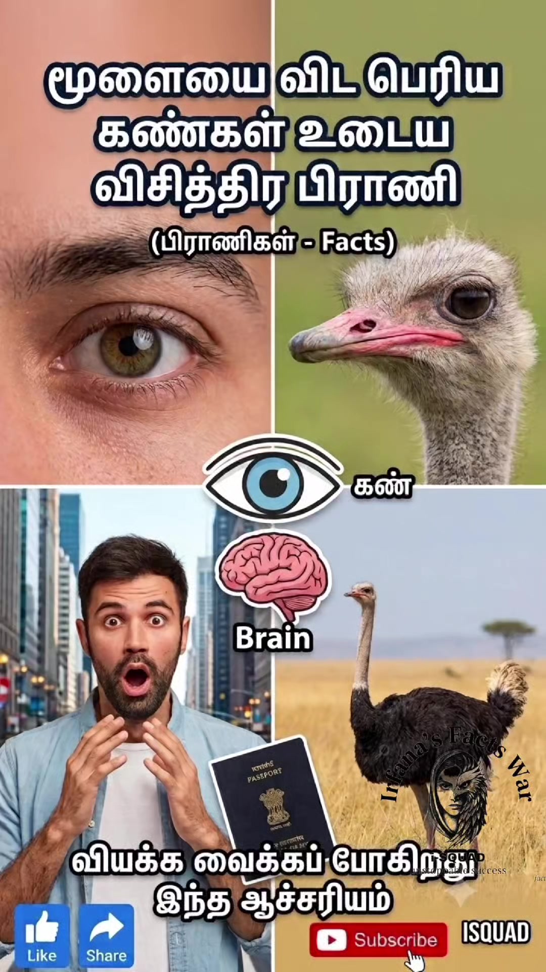 @irfana's facts war