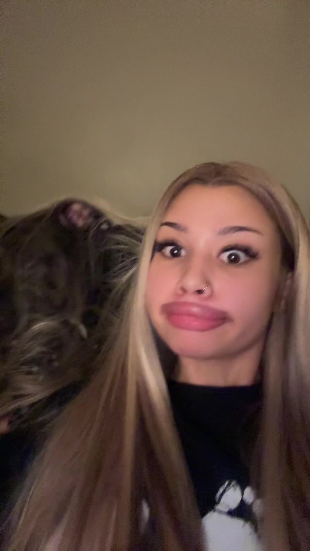 @minipeka