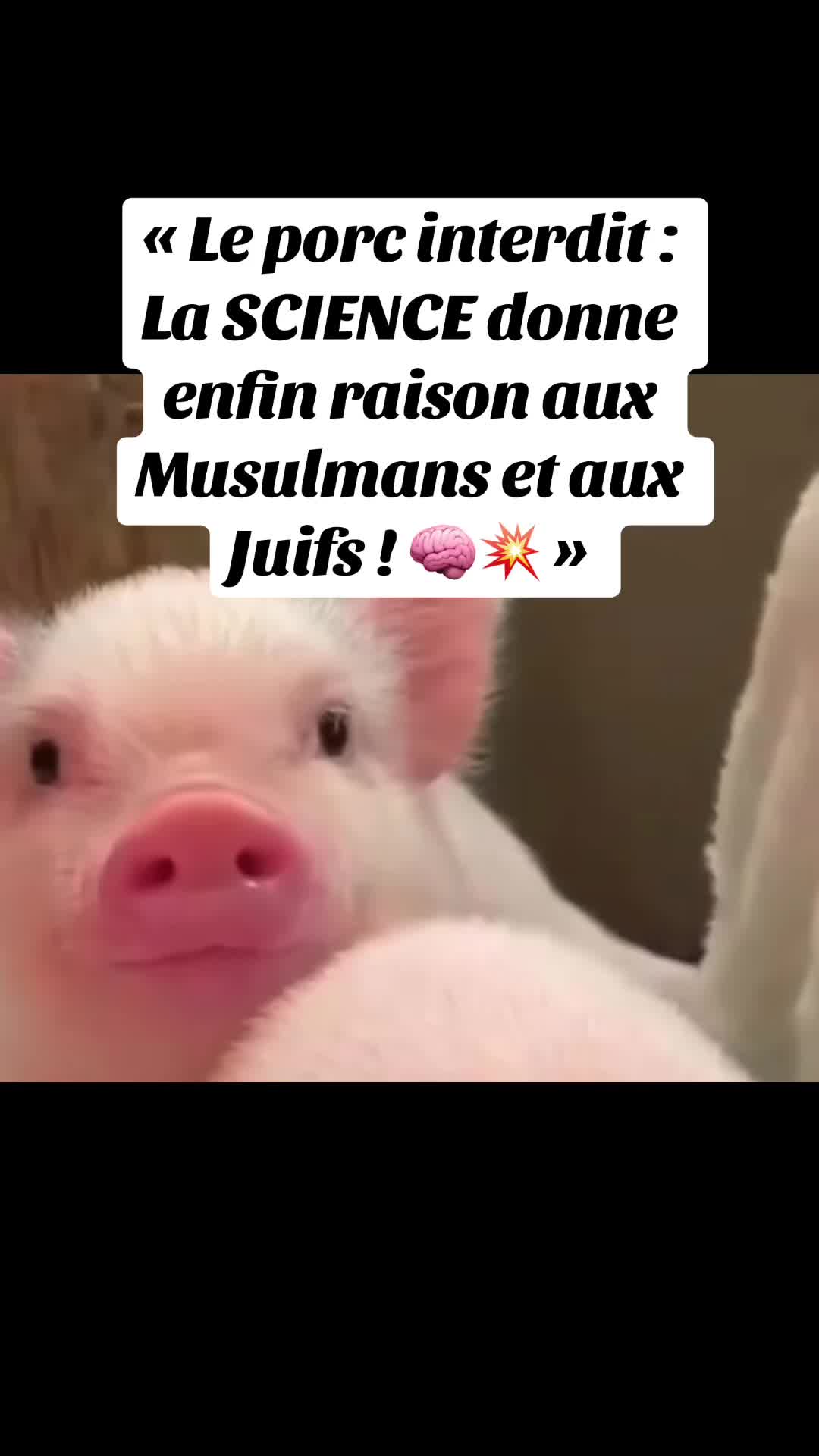 @Le fou du manoir
