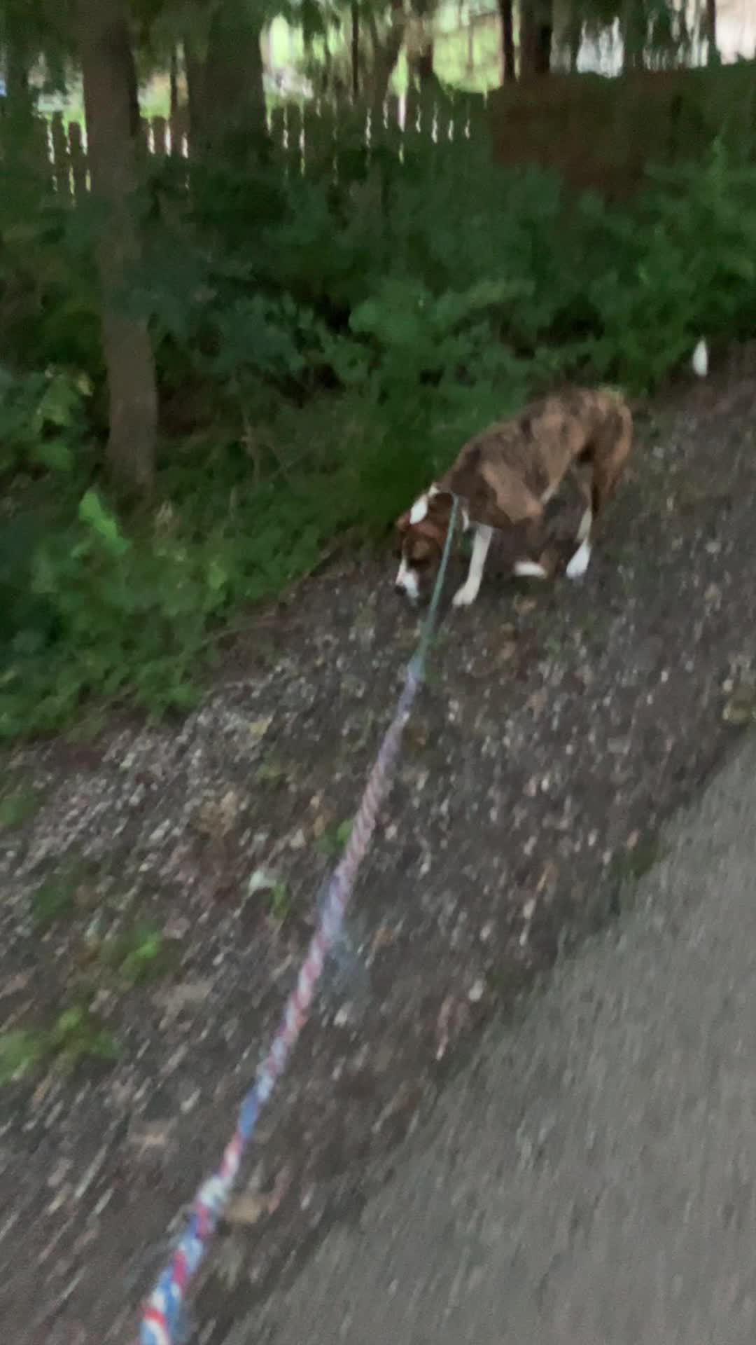 @Hikingwithstanley