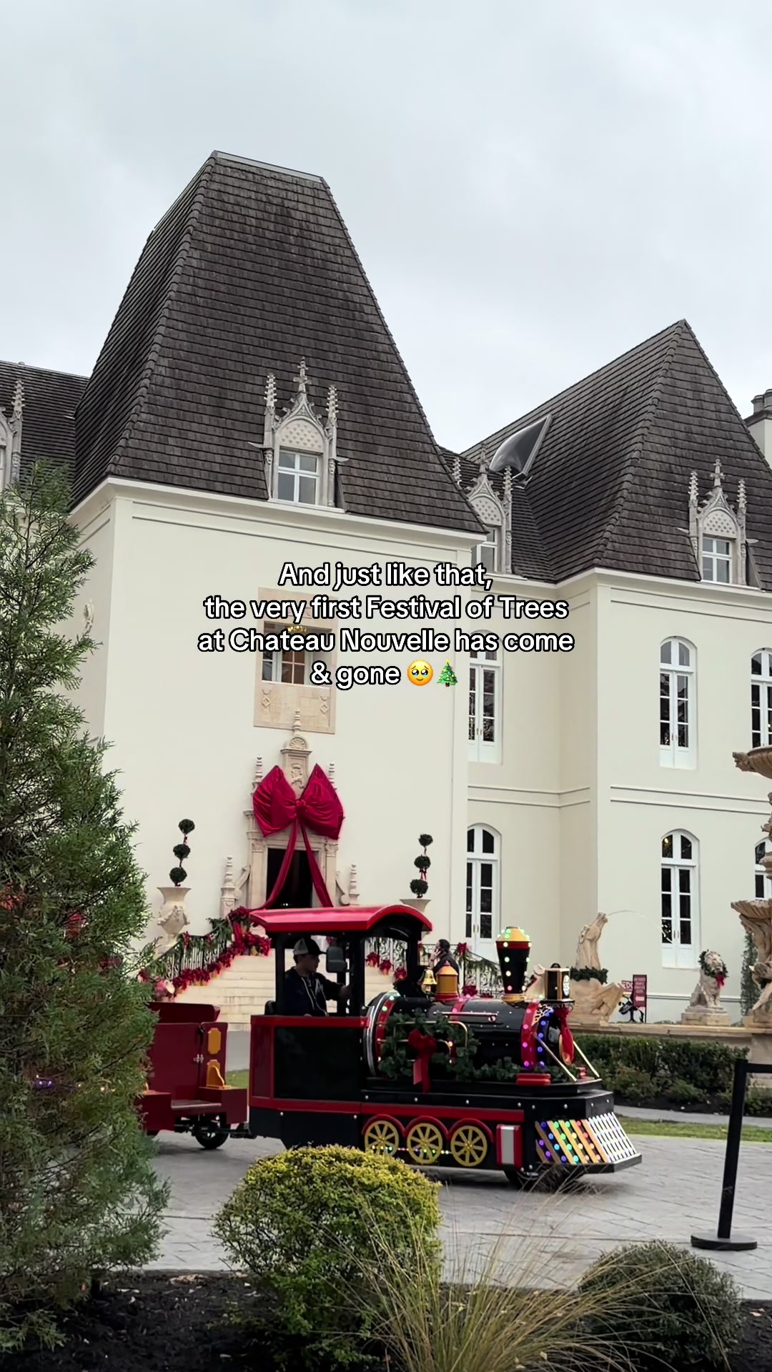 @Festival of Trees