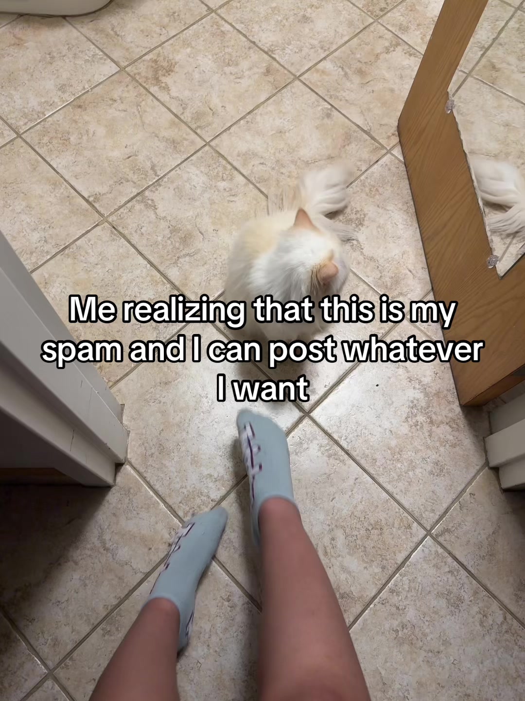 @Lyn Lynn spammie