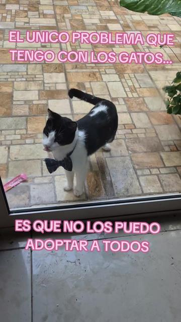 @LUPITA MARTINEZ 😻