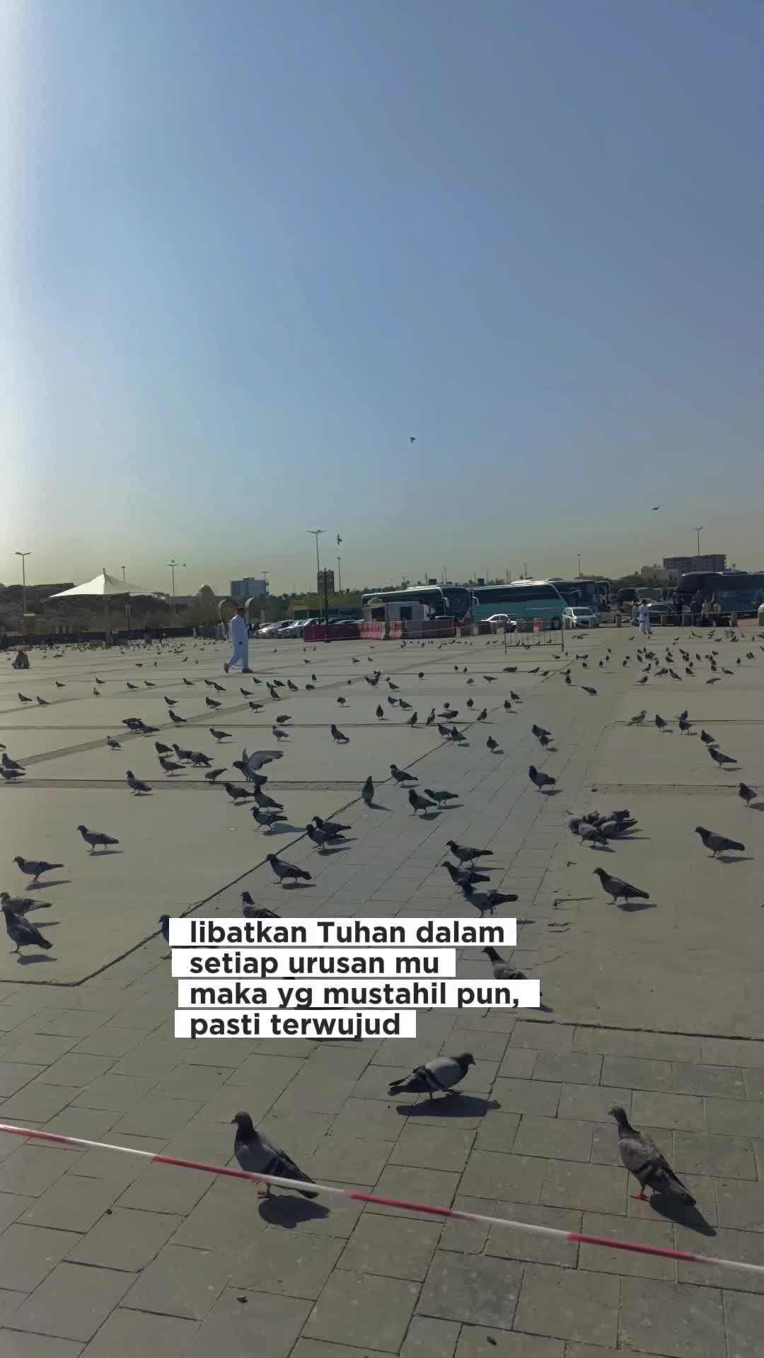 @normala jamil