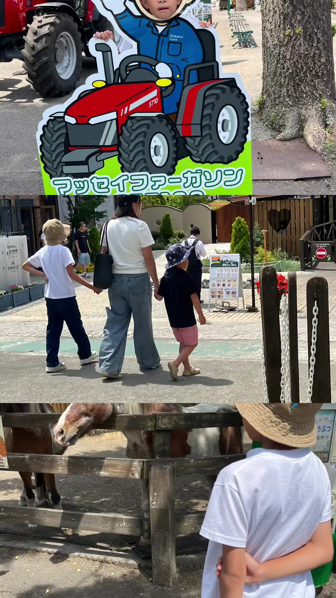 @꙳⋆🧸T⃝O⃝W⃝A⃝ 🧸⋆꙳