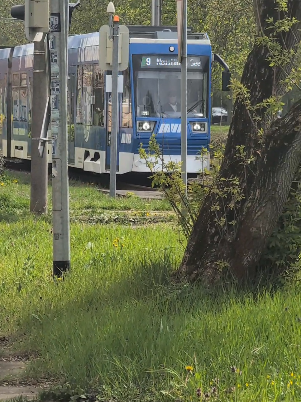 @iantrainspotter🚩