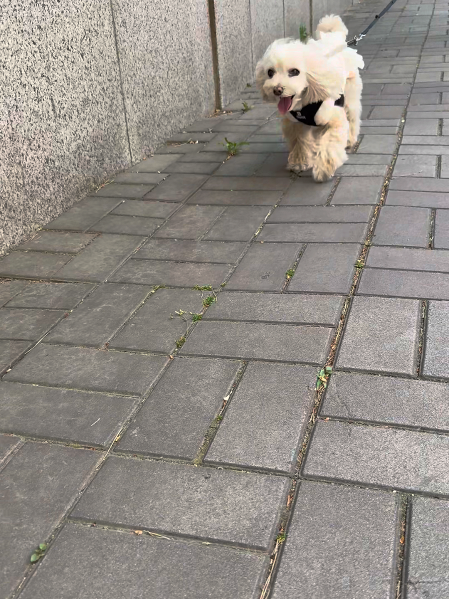 @토리엄마