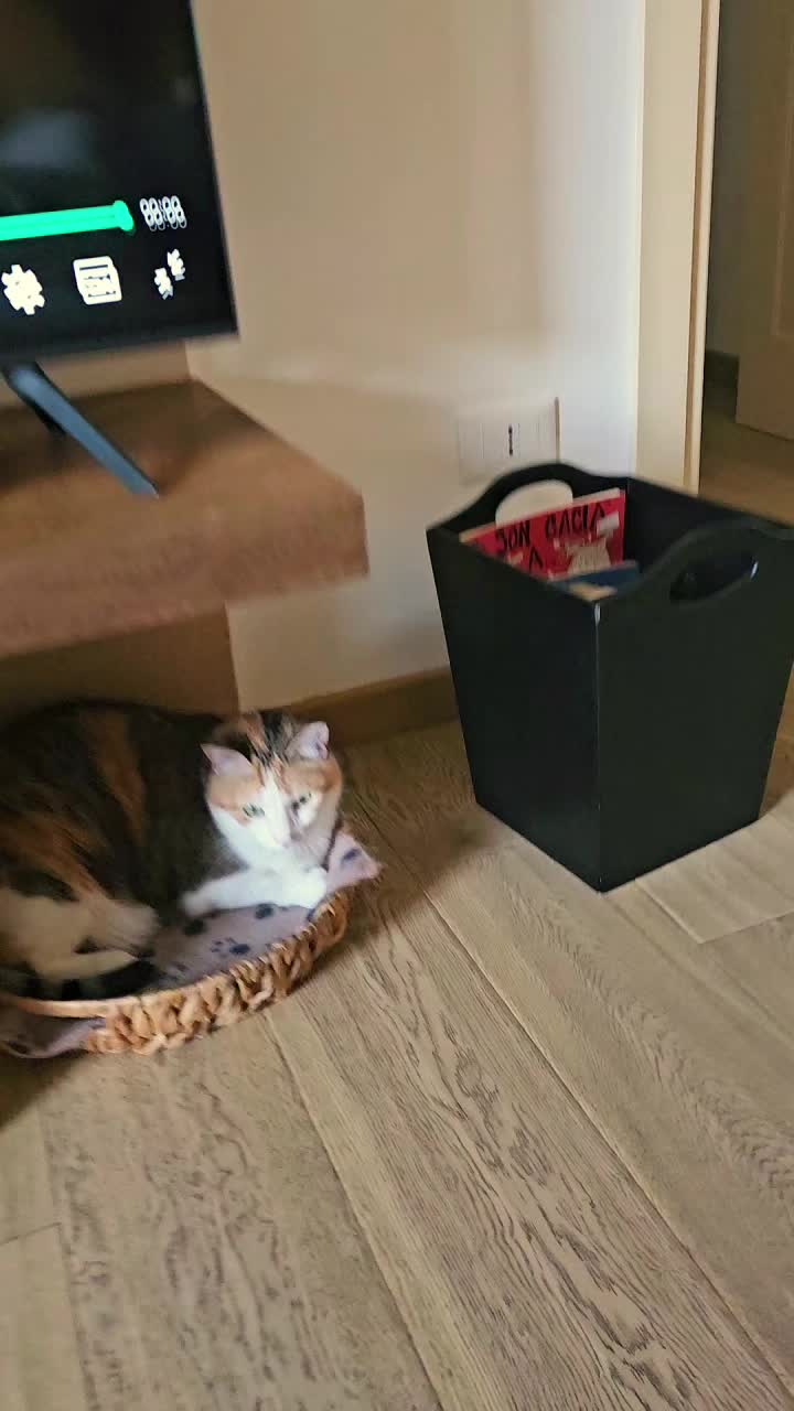 @Francesca Danieli