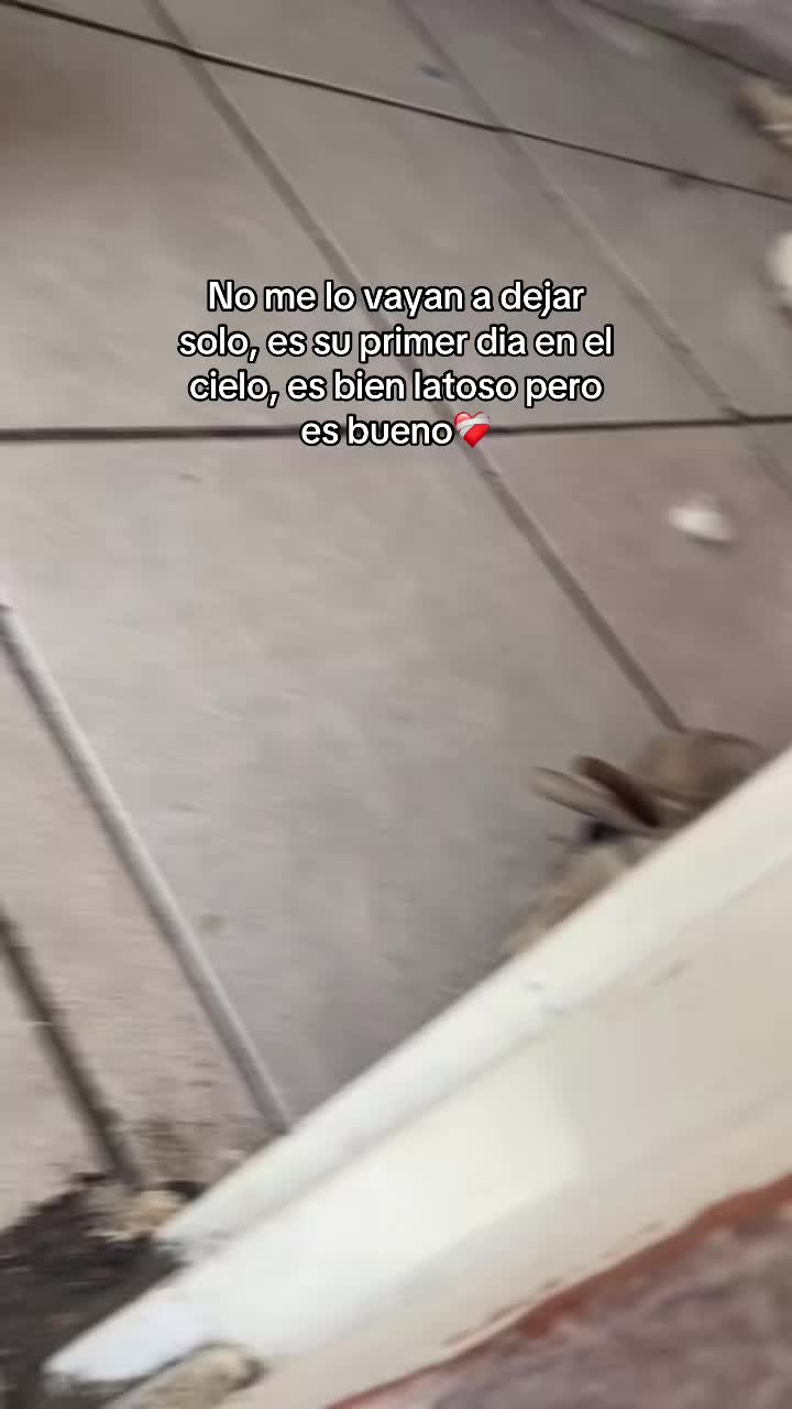 @naomi.3811