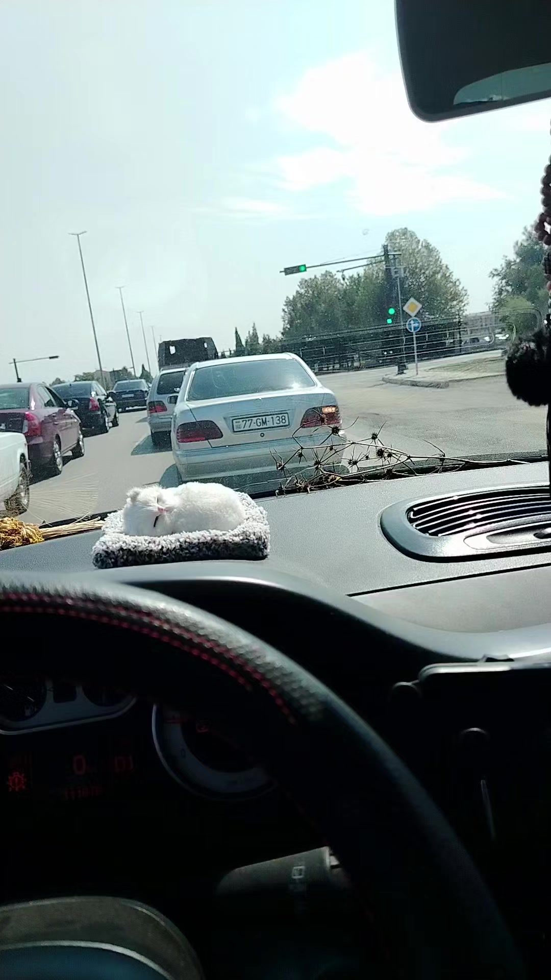 @Arzu Aslanlı