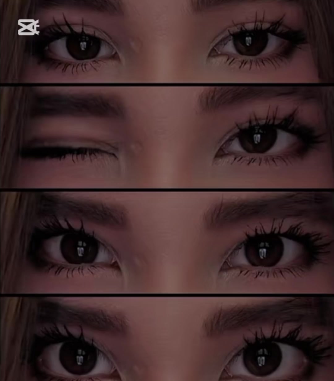 @𝐅𝐄𝐃𝐄𝐗