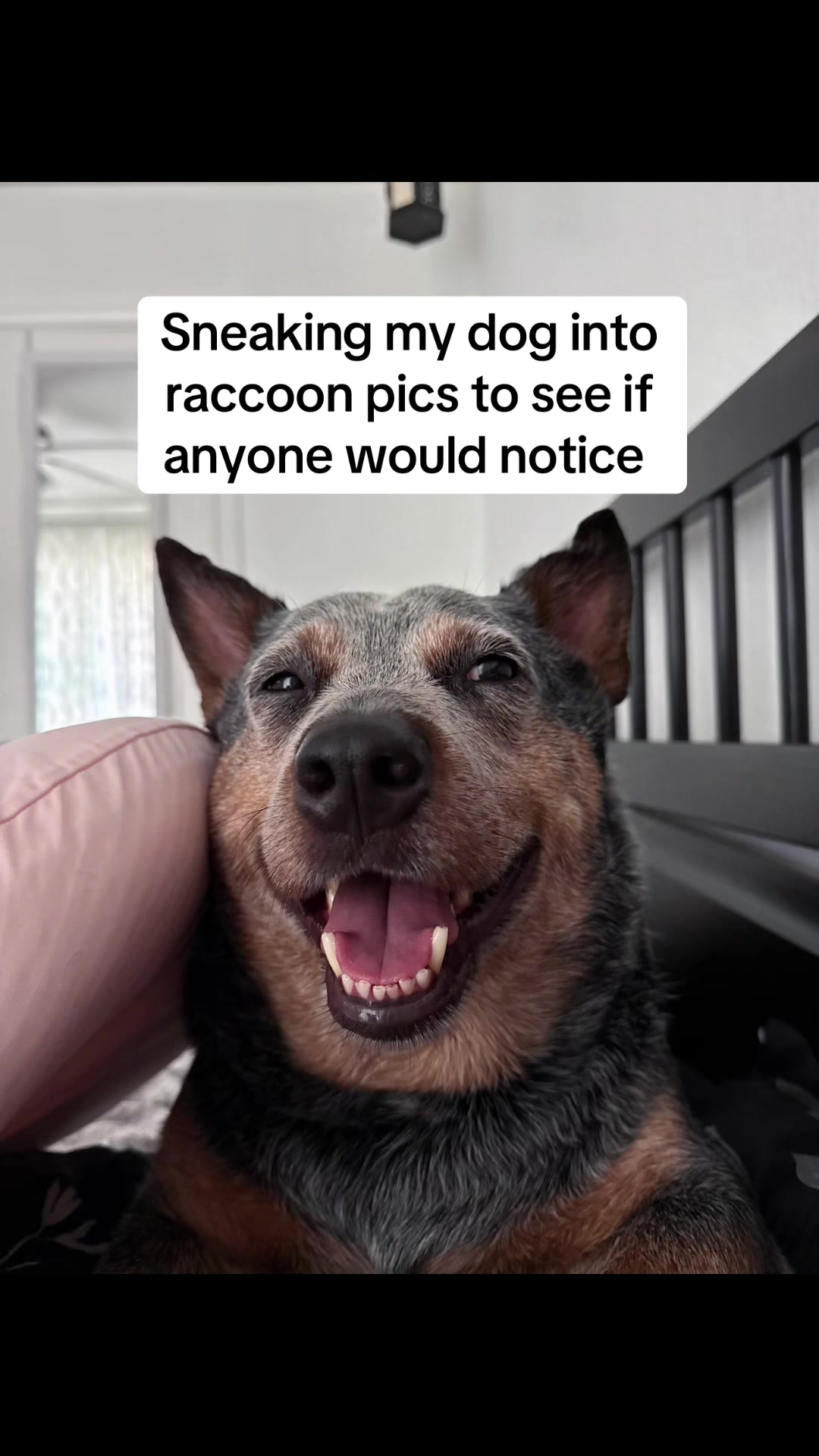 @Sarah