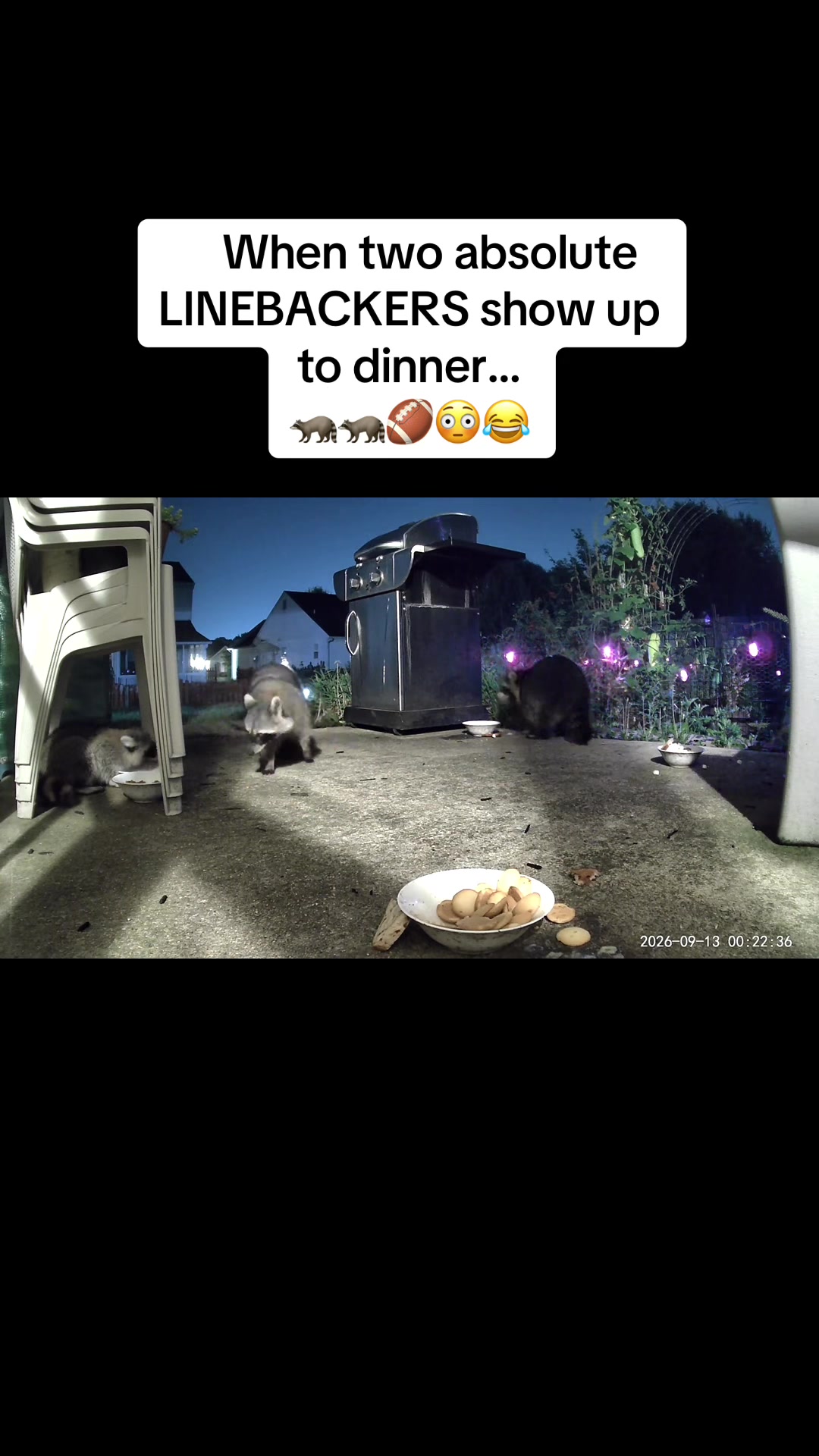 @ErinHessionWooton