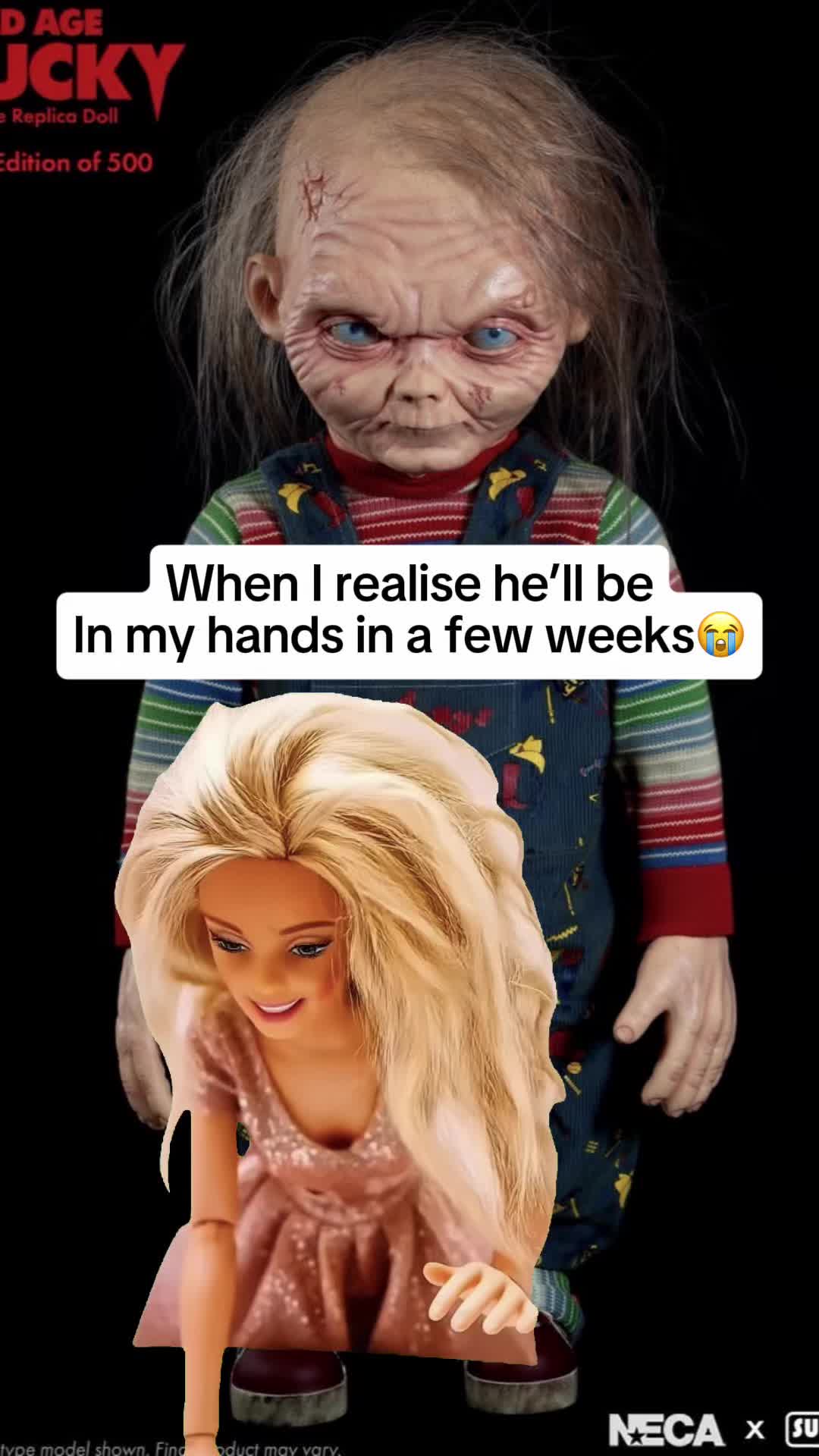 @Chucky Horror Play🕷️