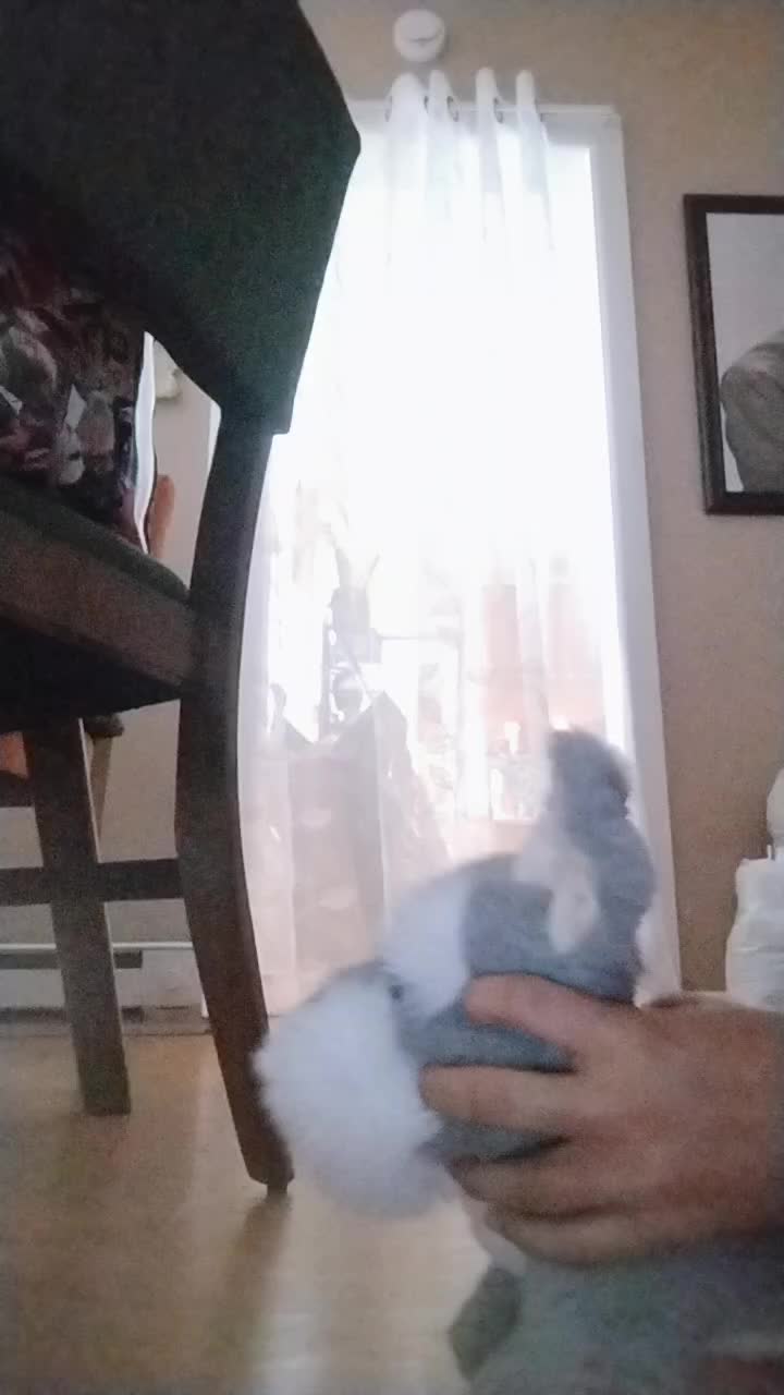 @ТГК @Jax_cat