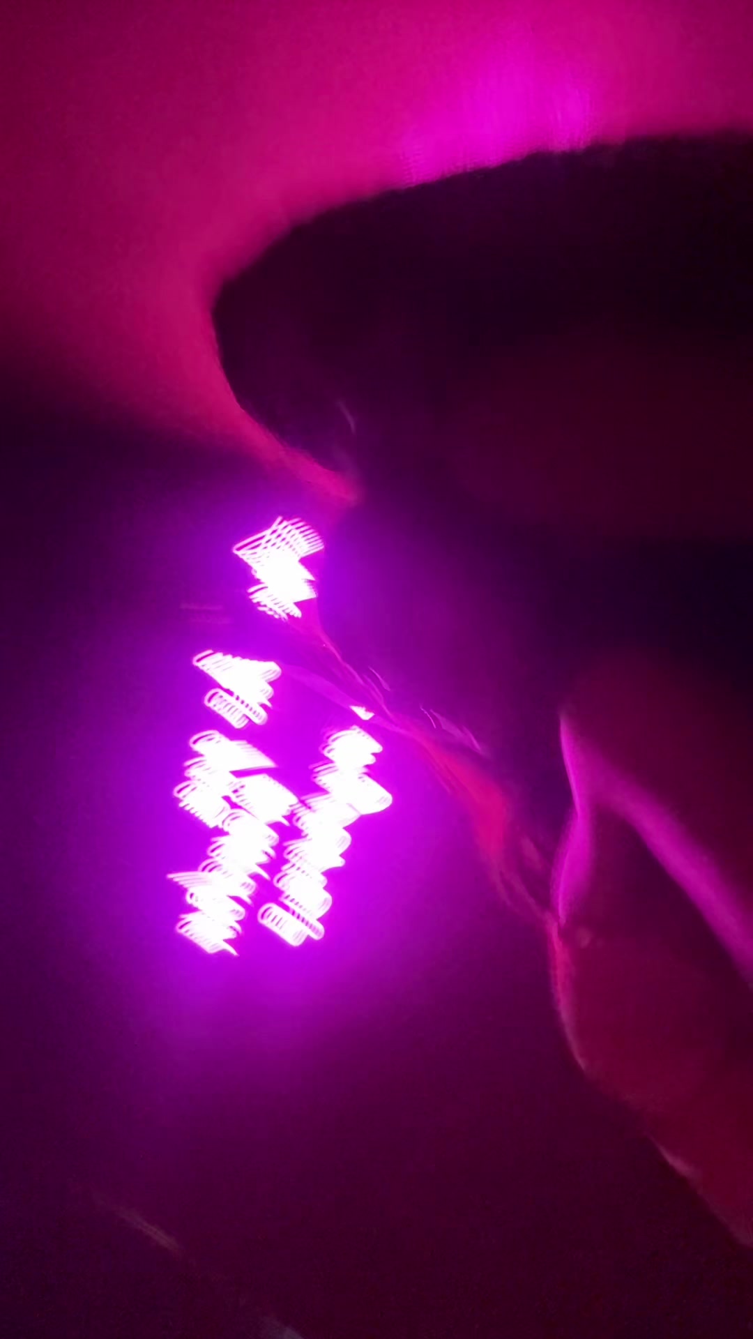 @sampamelab