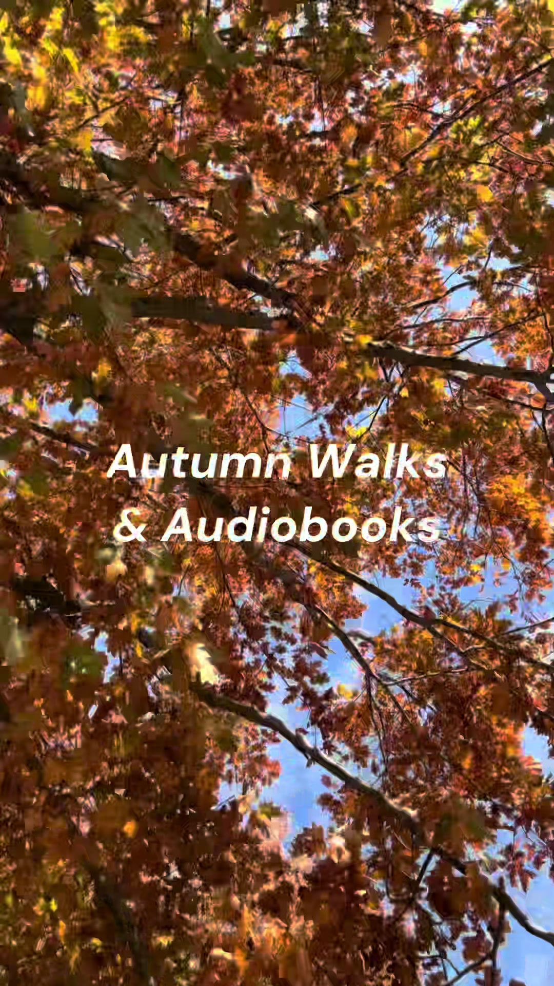 @Alex_andreads📚
