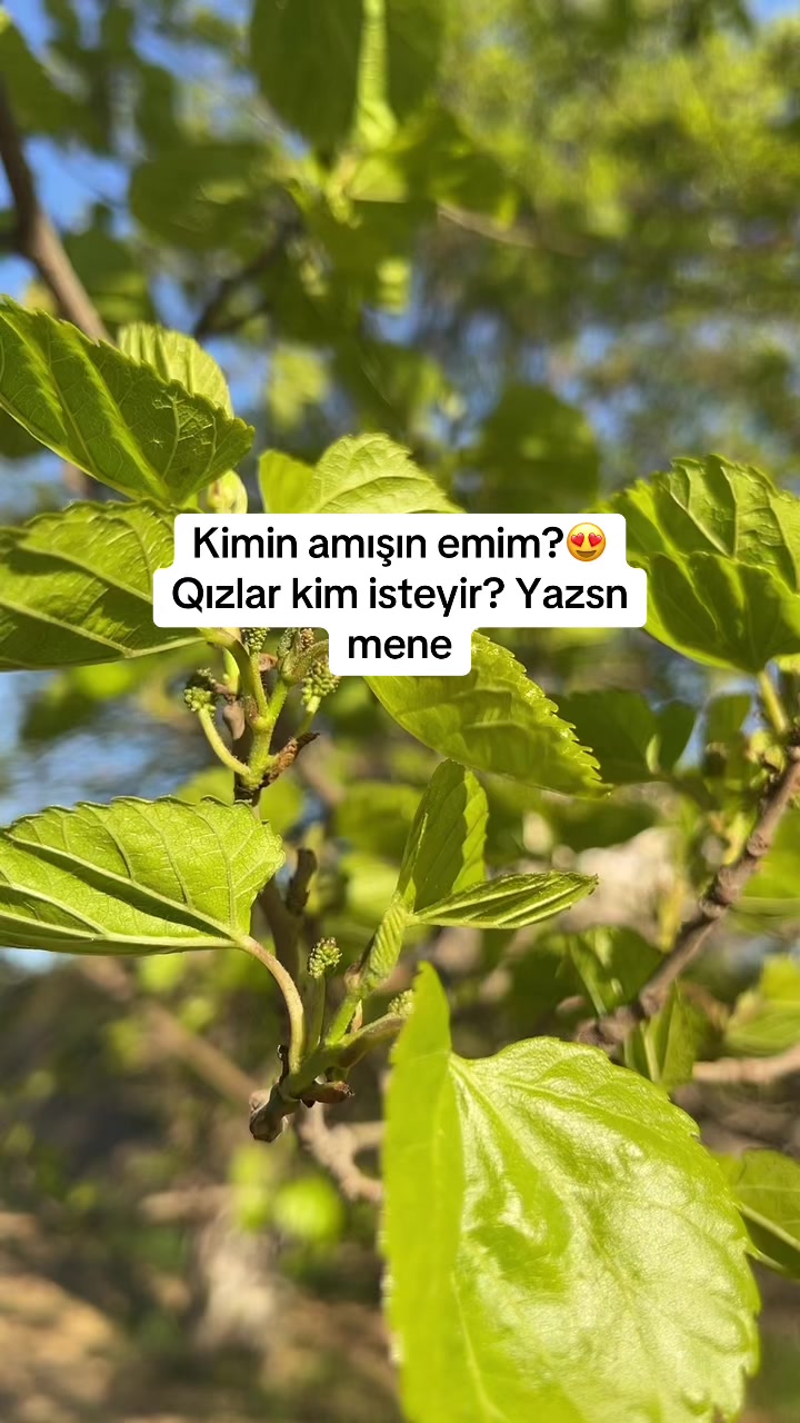 @AM EMREM😍