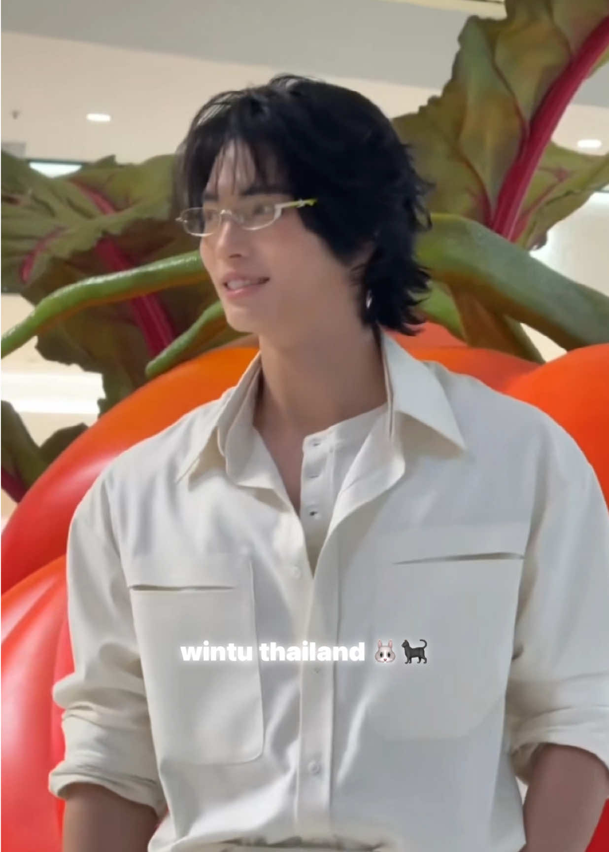 @wintuthailand