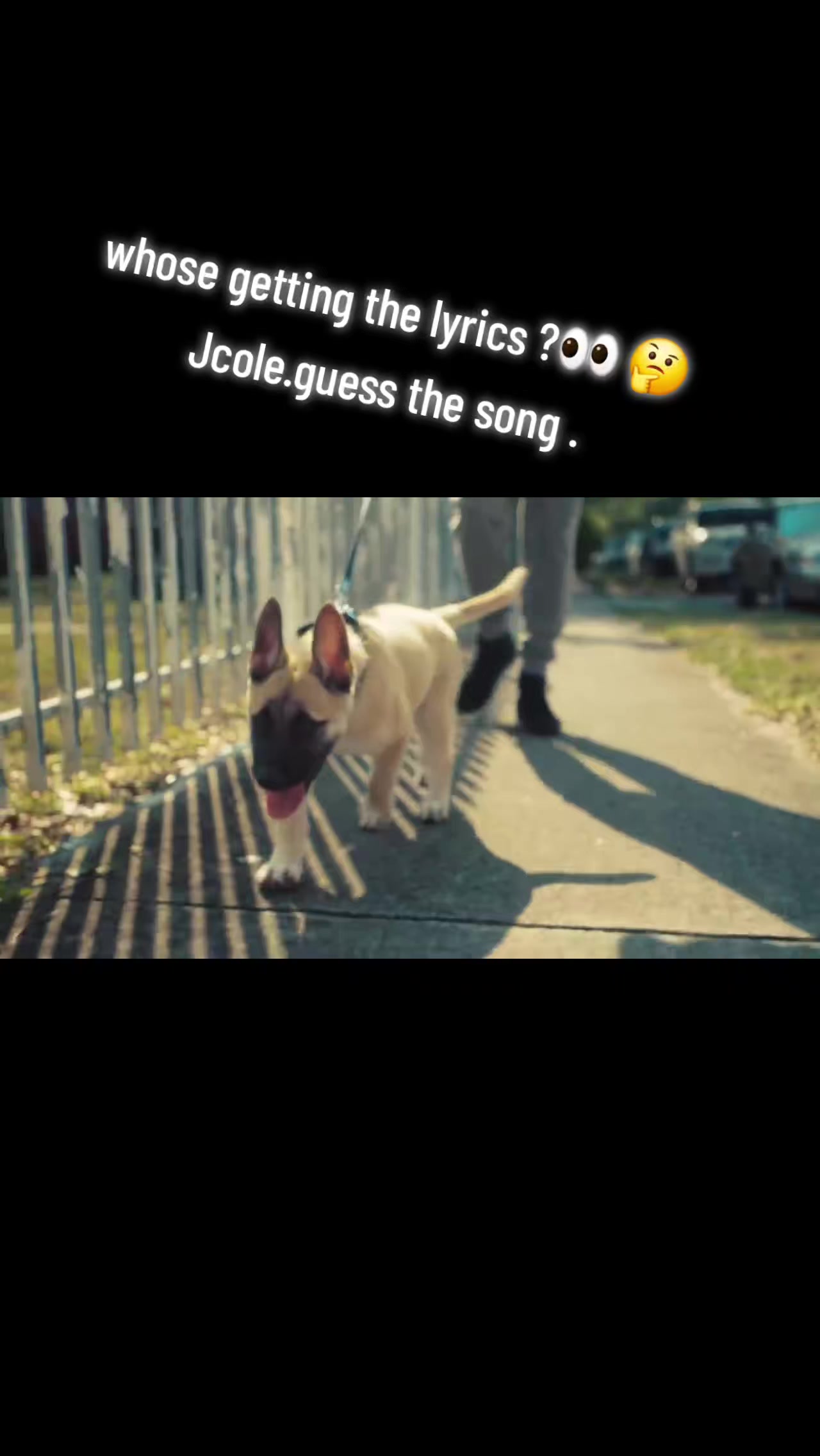 @halcyondayz2 0700638745