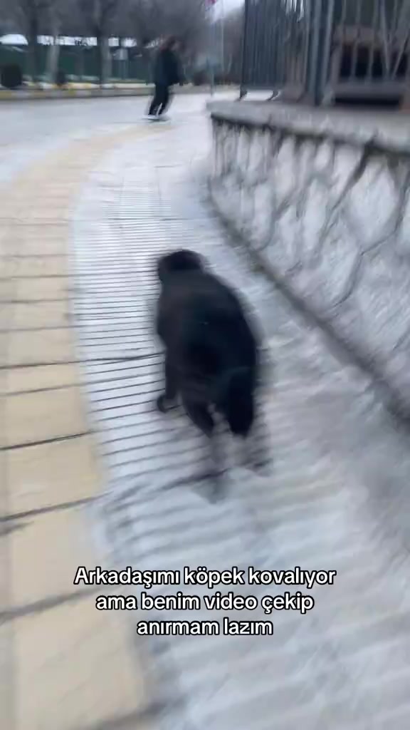 @Doğa