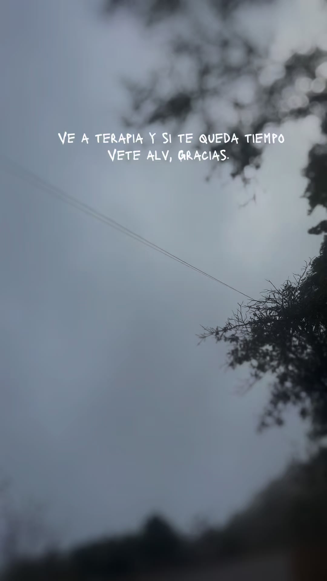 @T A L I 🥀🩷