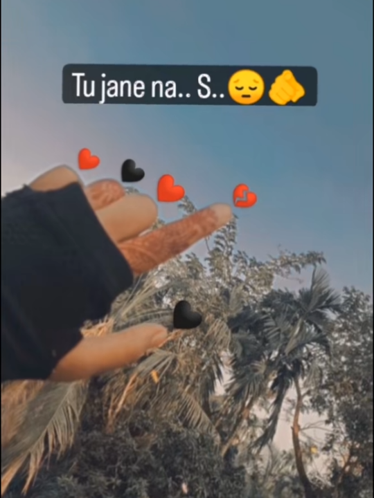 @★ Rinte Riya ☆🕊️