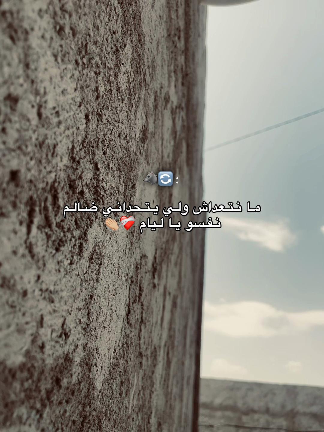 @๐บ๐ ุฎูููููู || ZA9ZO9 ๐๐บ