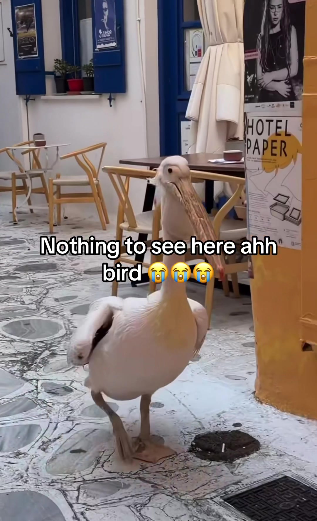@Hxbitz