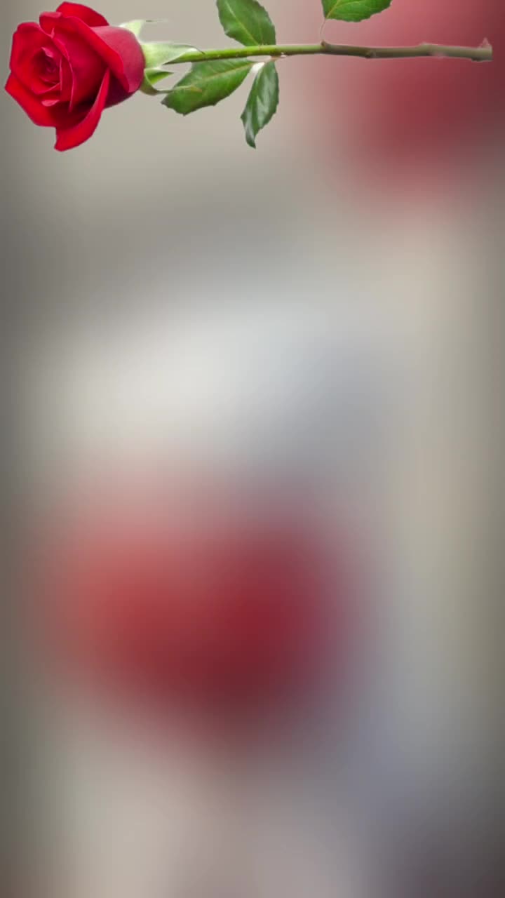 @꧁ 𝙋𝙡𝙖𝙩𝙮 ꧂