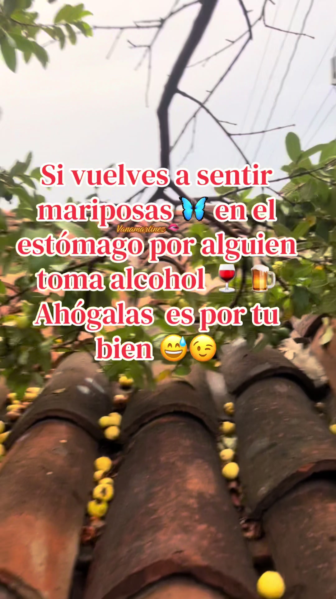 @vanamartinez93🫦