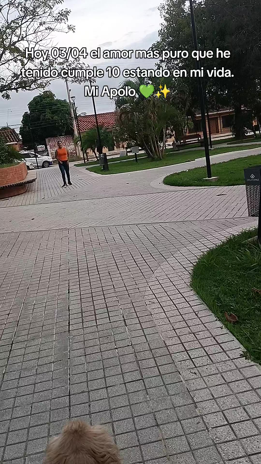 @Carla A