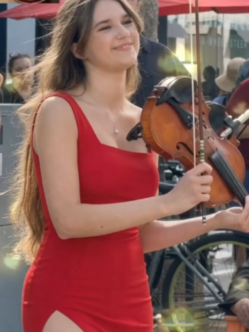 @Violin usa