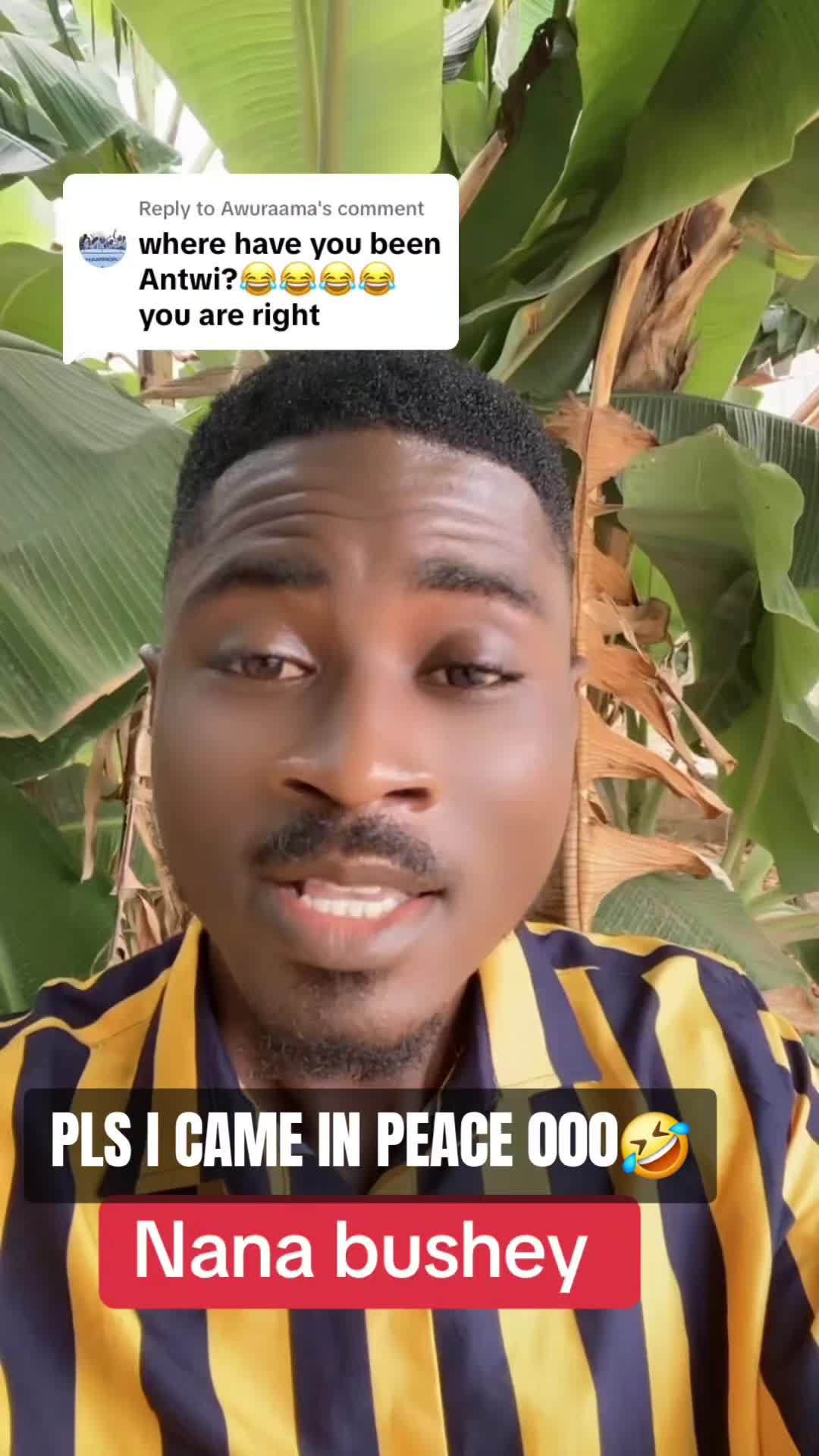 @🇬🇭 Kweku Celestial 🇨🇦