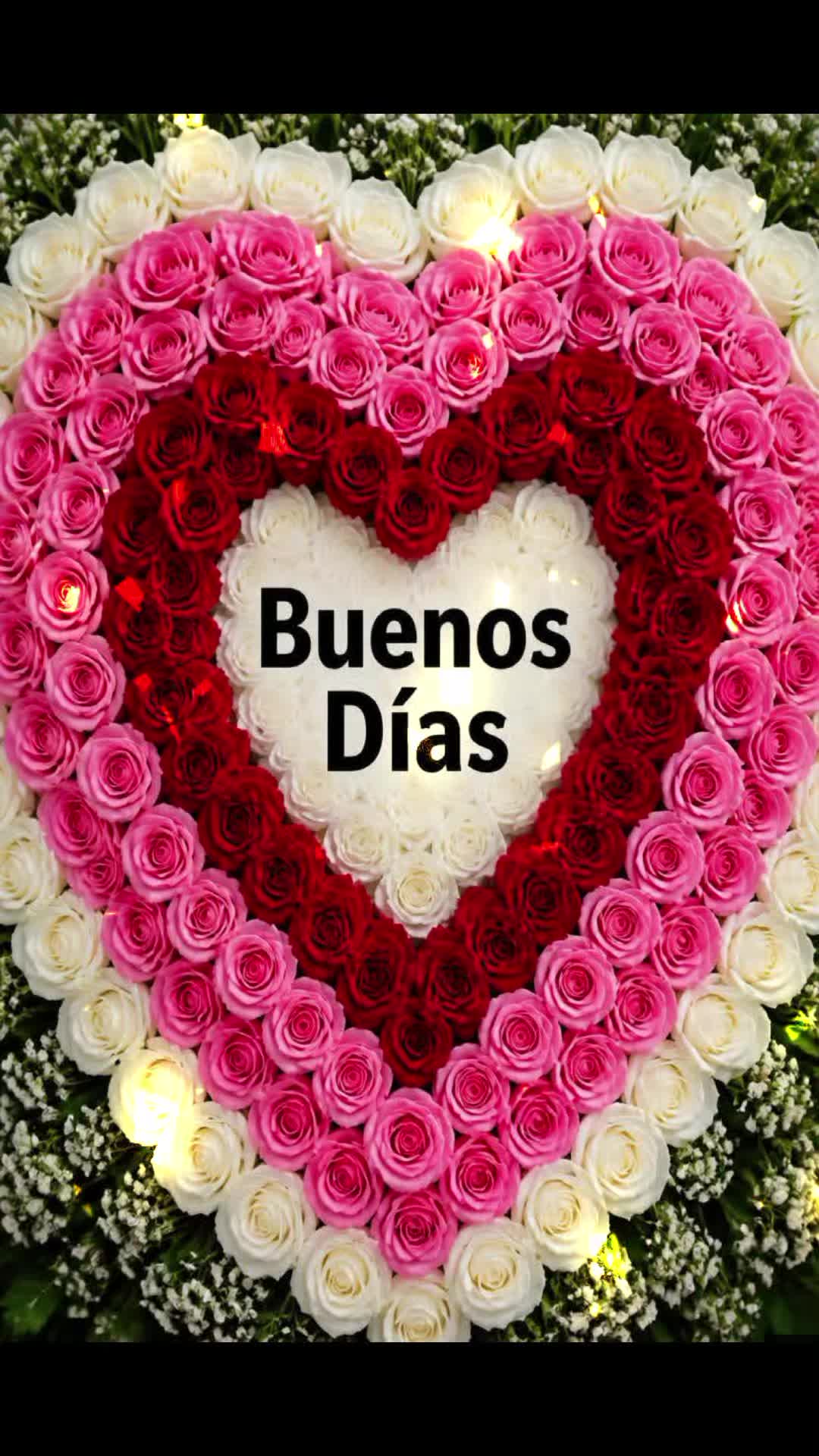 @Hernan montoya