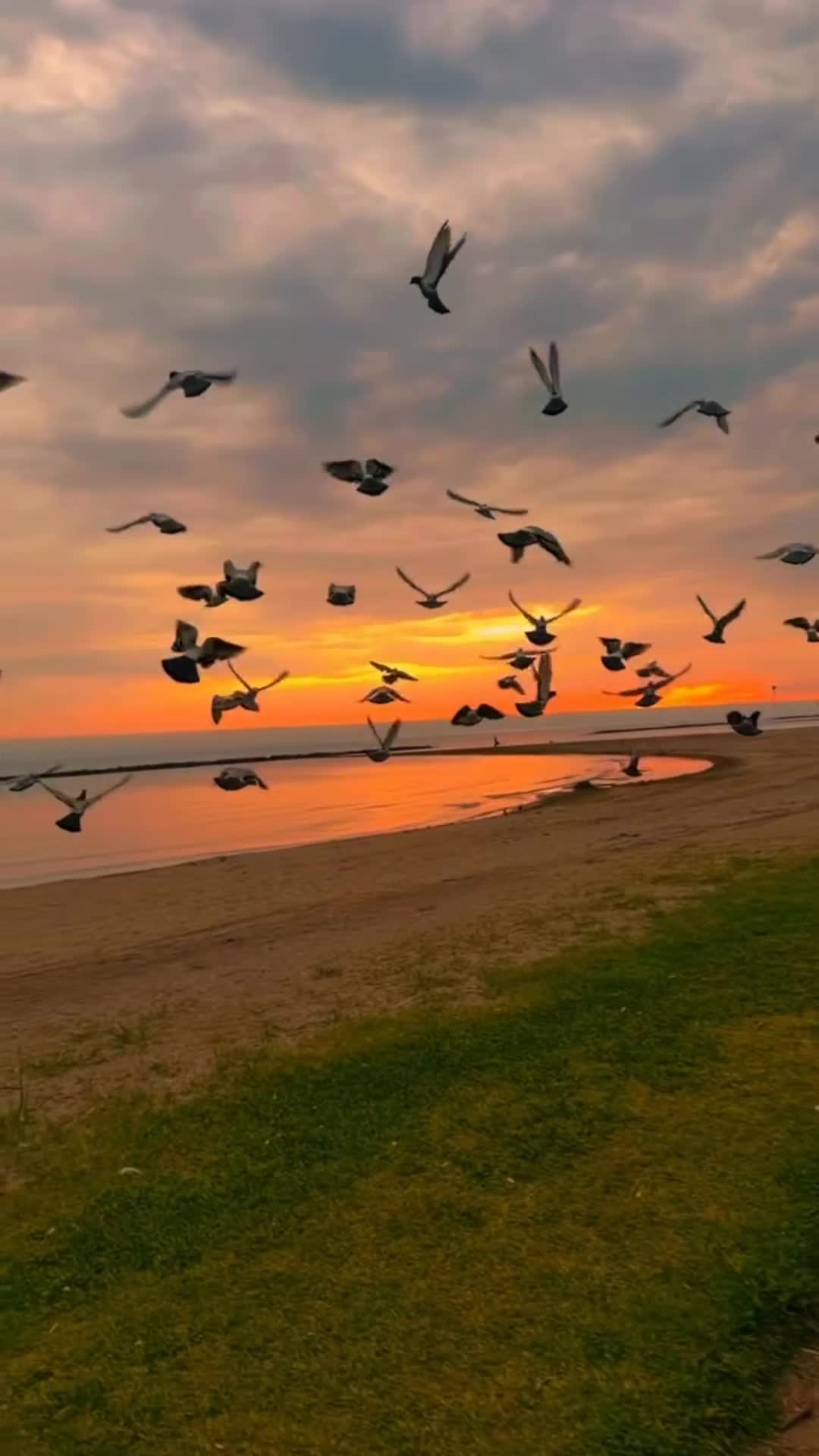 @Amazing_๐