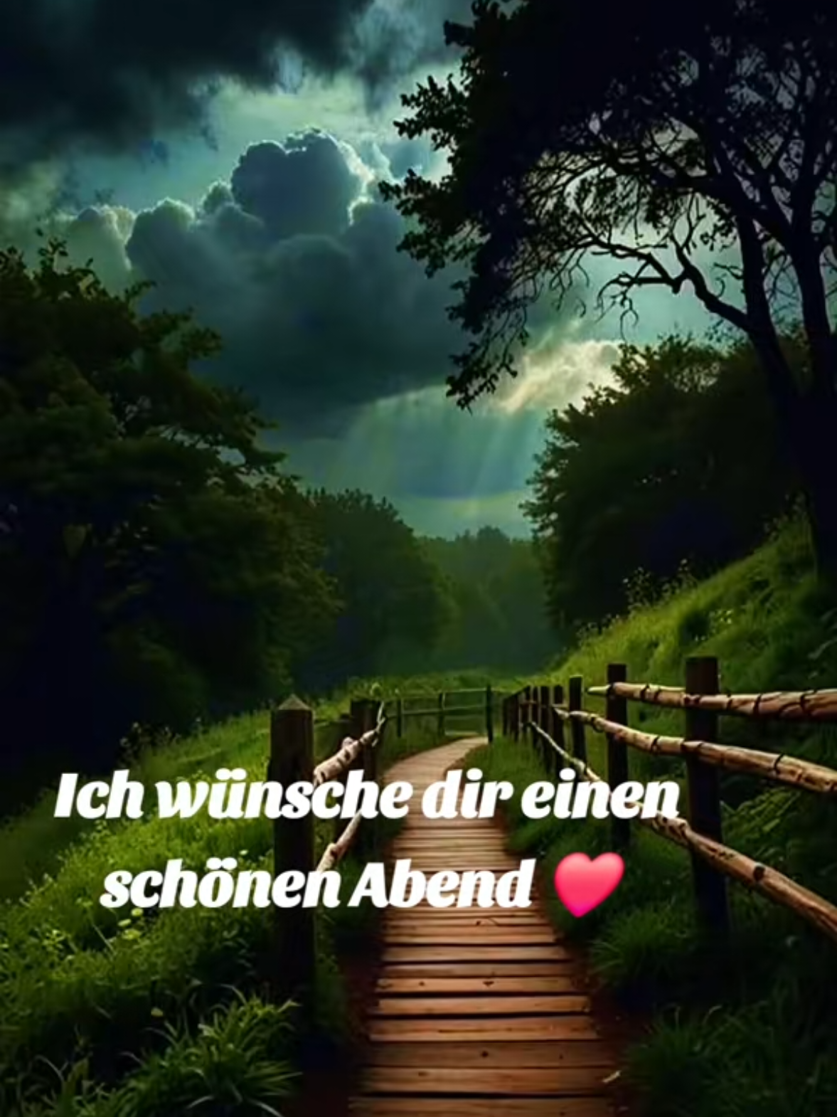 @Sonnenschein76🌞♥️