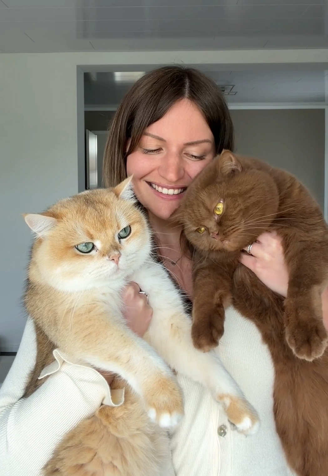 @Sinascolorcats