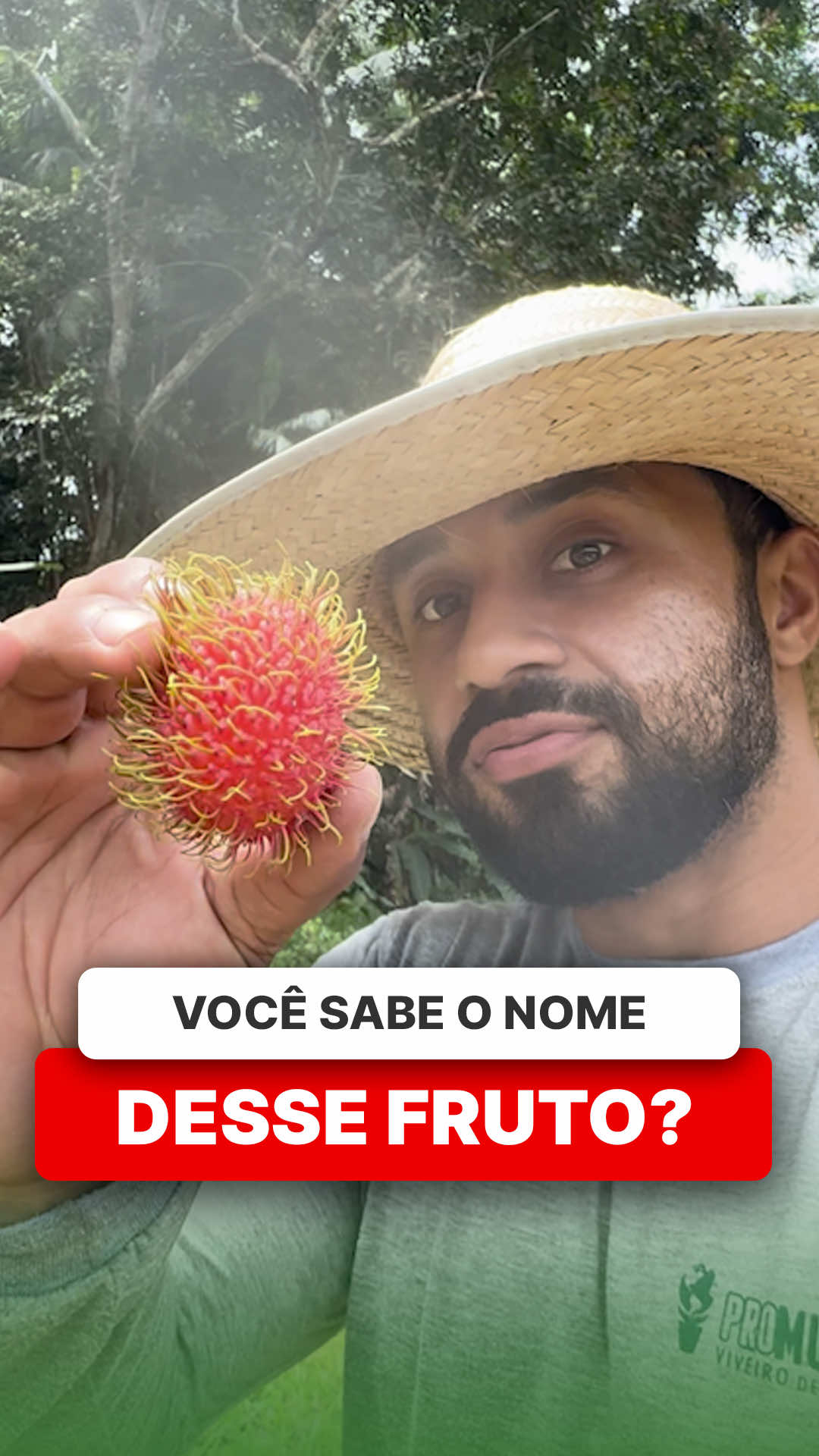 @ViveiroProMudas