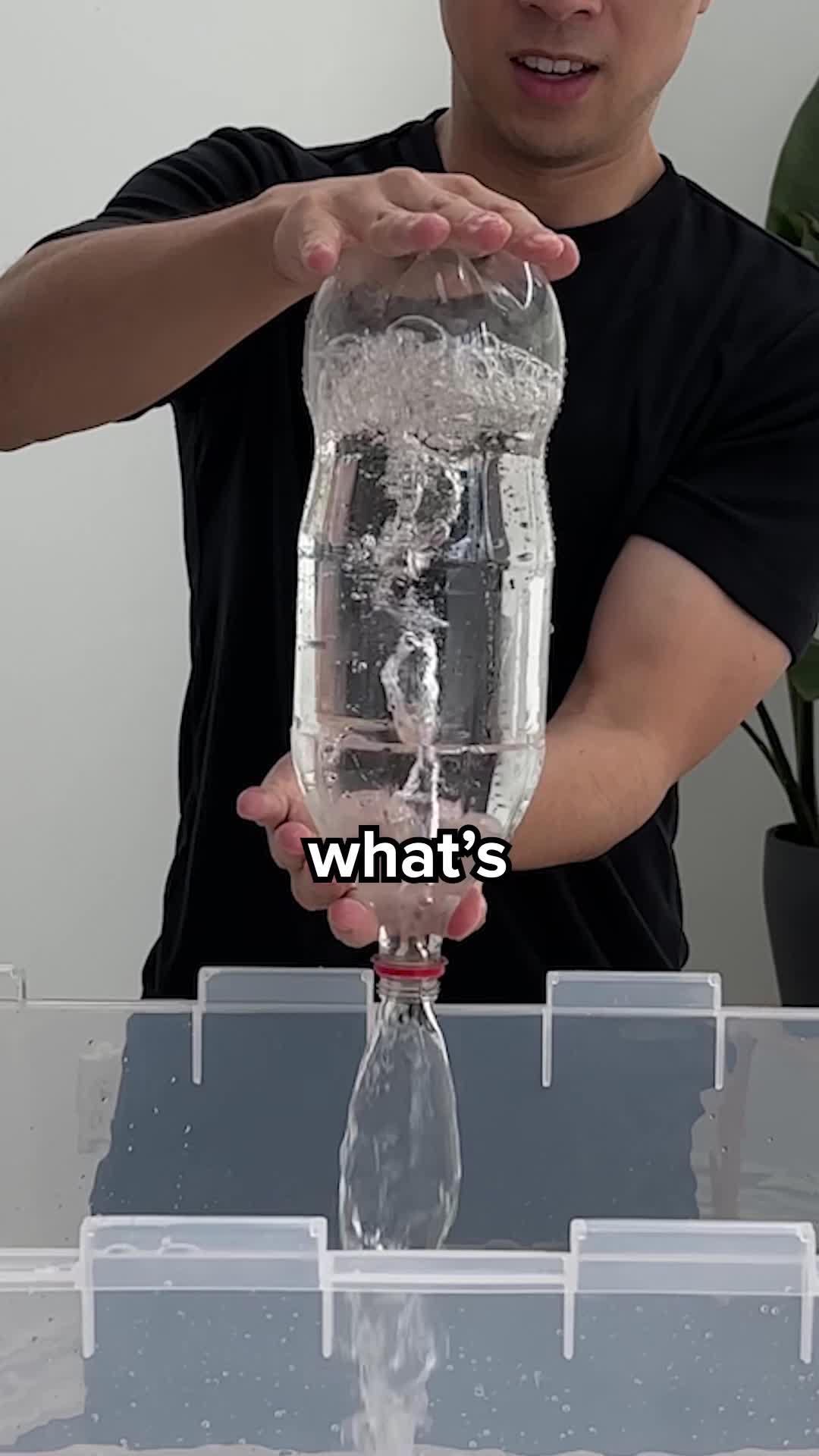 @Hafu Go