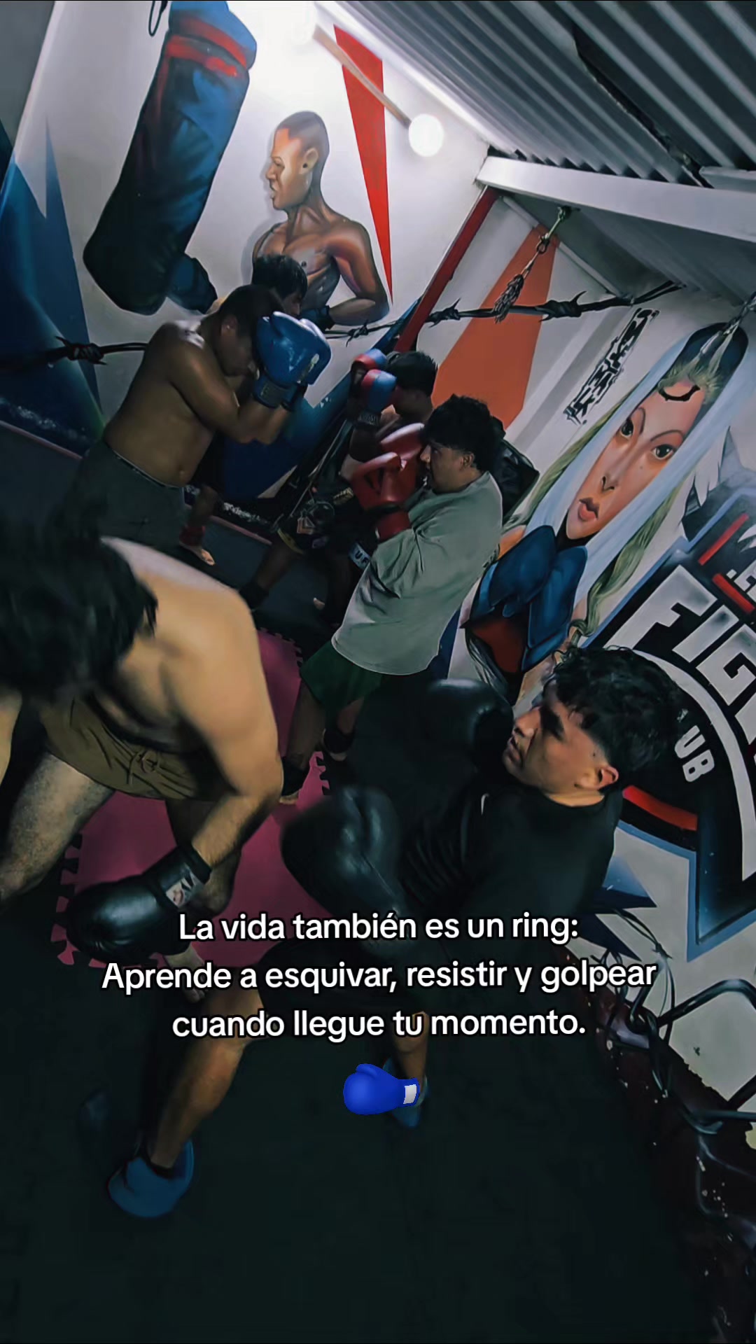 @EL DON K.O.🥊