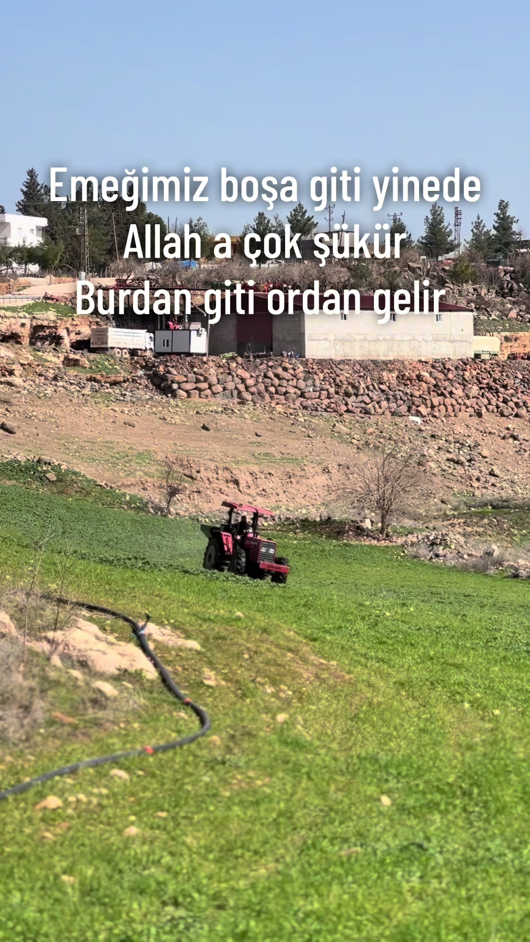 @🌾ICBUR TARIM 🌾