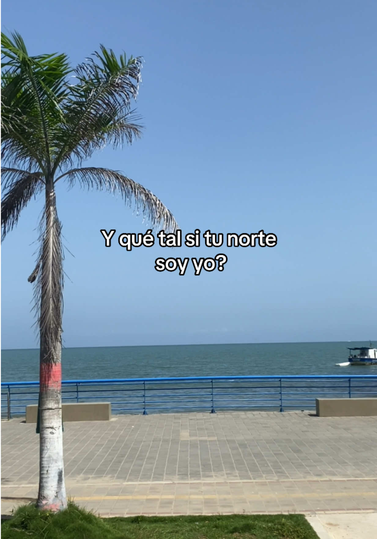 @MarcelaSaenz