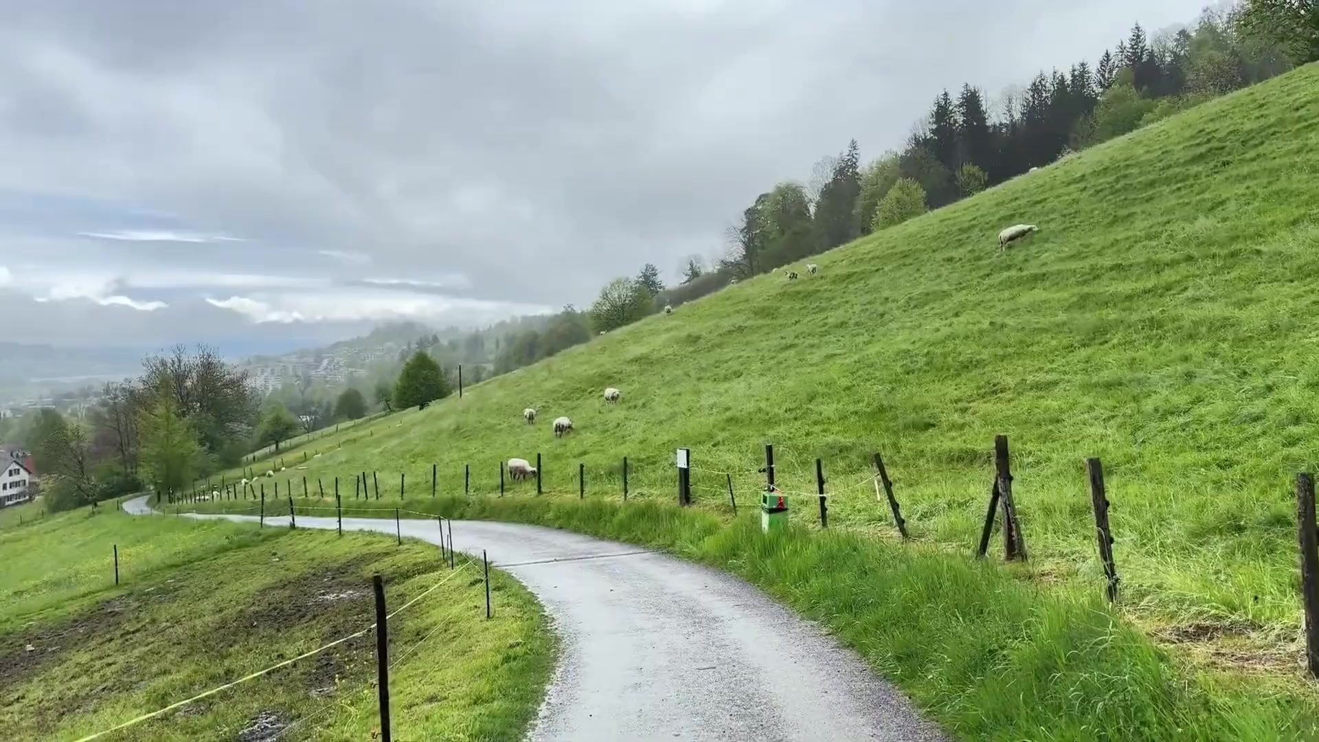@—͞R🧸ྀི