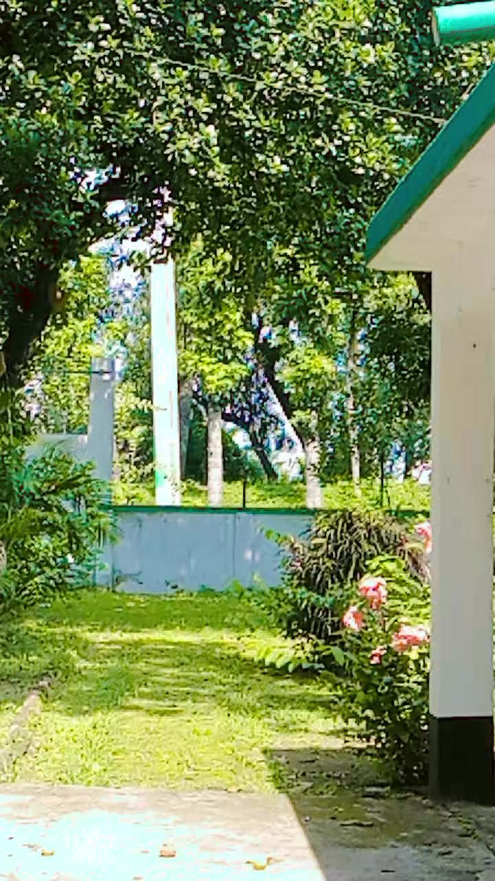 @-~*^🍀  চারু লতা!-~*^ ☘️