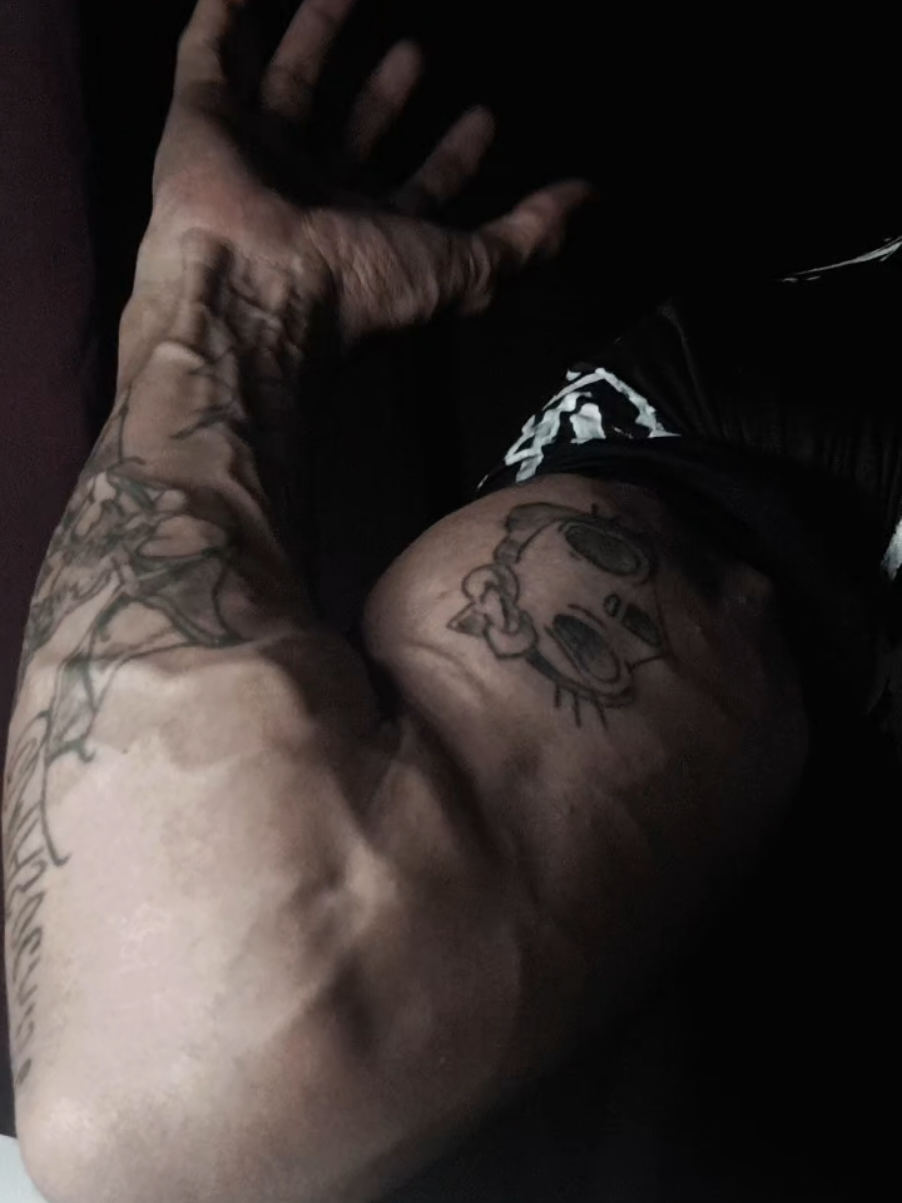 @luiismes