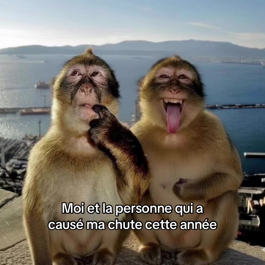 @d4l1_blgcm