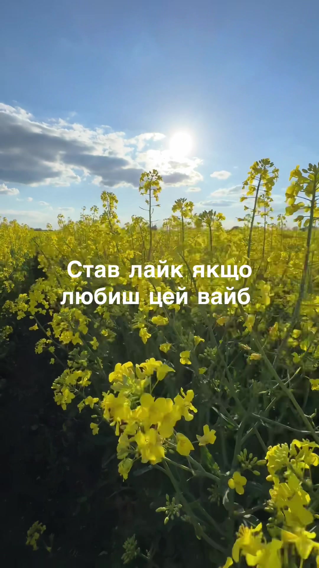 @Sasha🇺🇦John Deere🇺🇦🚜🌾🌽