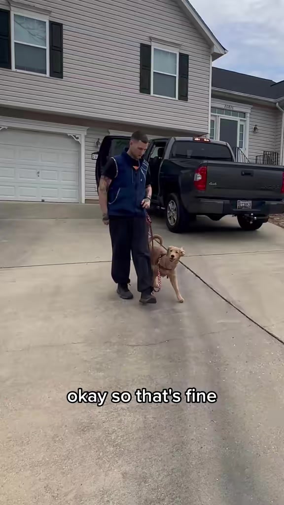 @Best Buddy Dog Trainer LLC